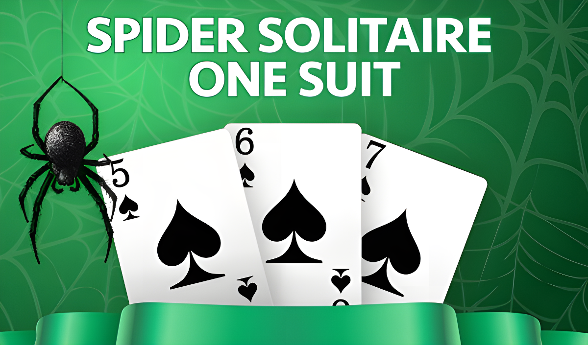 Arte da capa de Spider Solitaire one suit