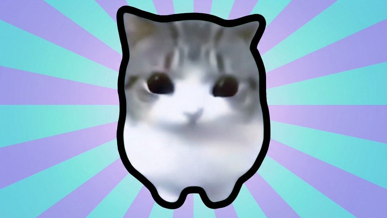 The cat evaluates! cover art