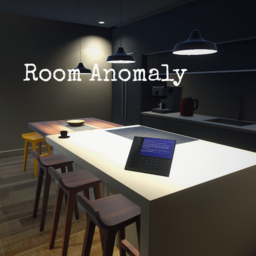 Room Anomaly