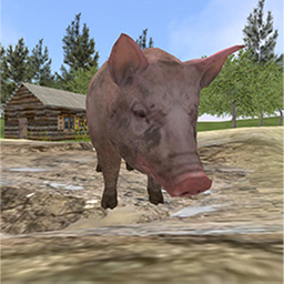 Village Pig Simulator