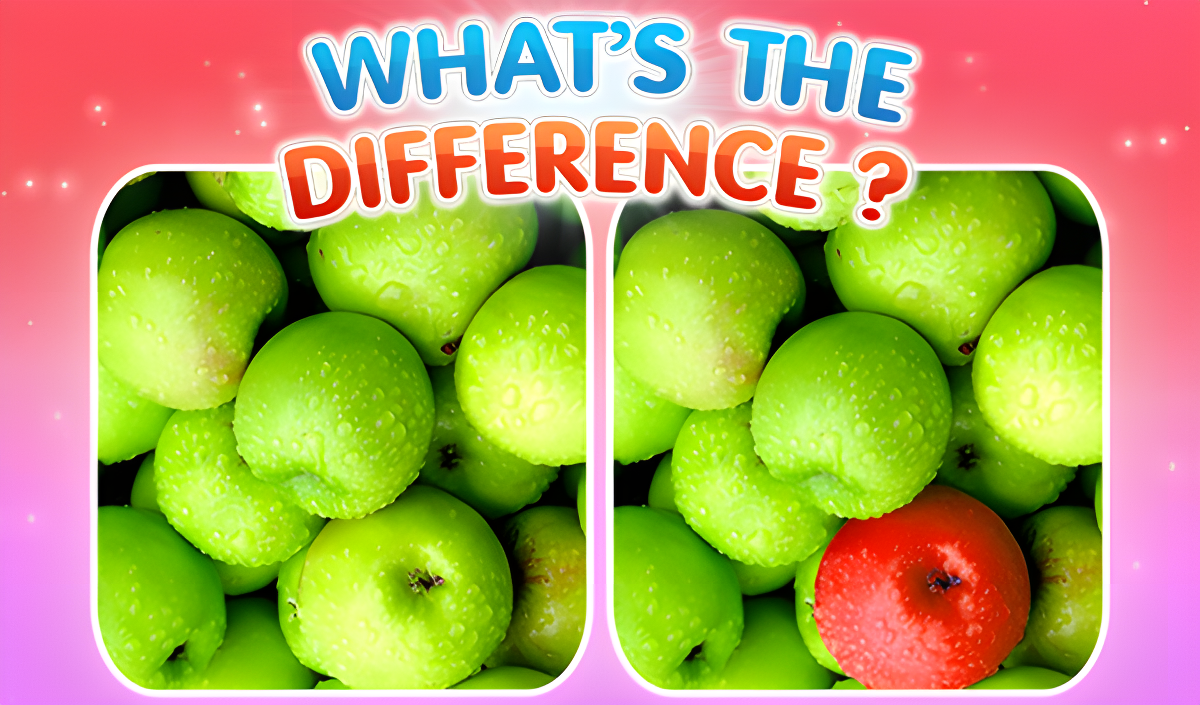 Okładka What's the difference?